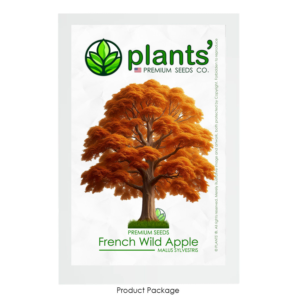 French Wild Apple Tree | Premium Seeds | Malus sylvestris ‘Fall’ | Plants’®