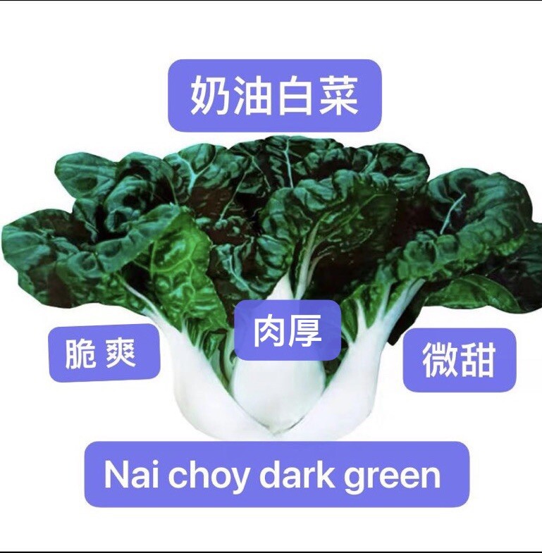 300+Nai bok choy dark green canton pak choi seeds300多粒奶油白菜 2023年新种子