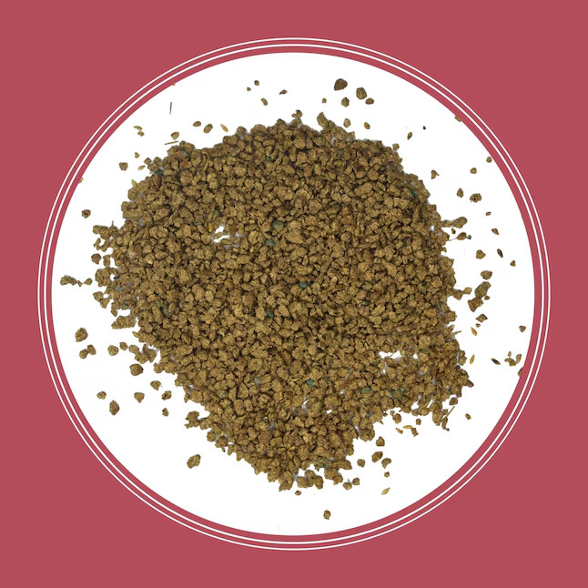 [[BIG SALE] Pennington Zenith 5-lb Zoysia Grass Seed