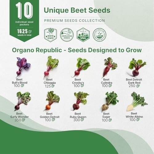 10 Rare Beet Seeds Variety Pack – Heirloom Non-GMO Bulk for Indoor/Outdoor Garde
