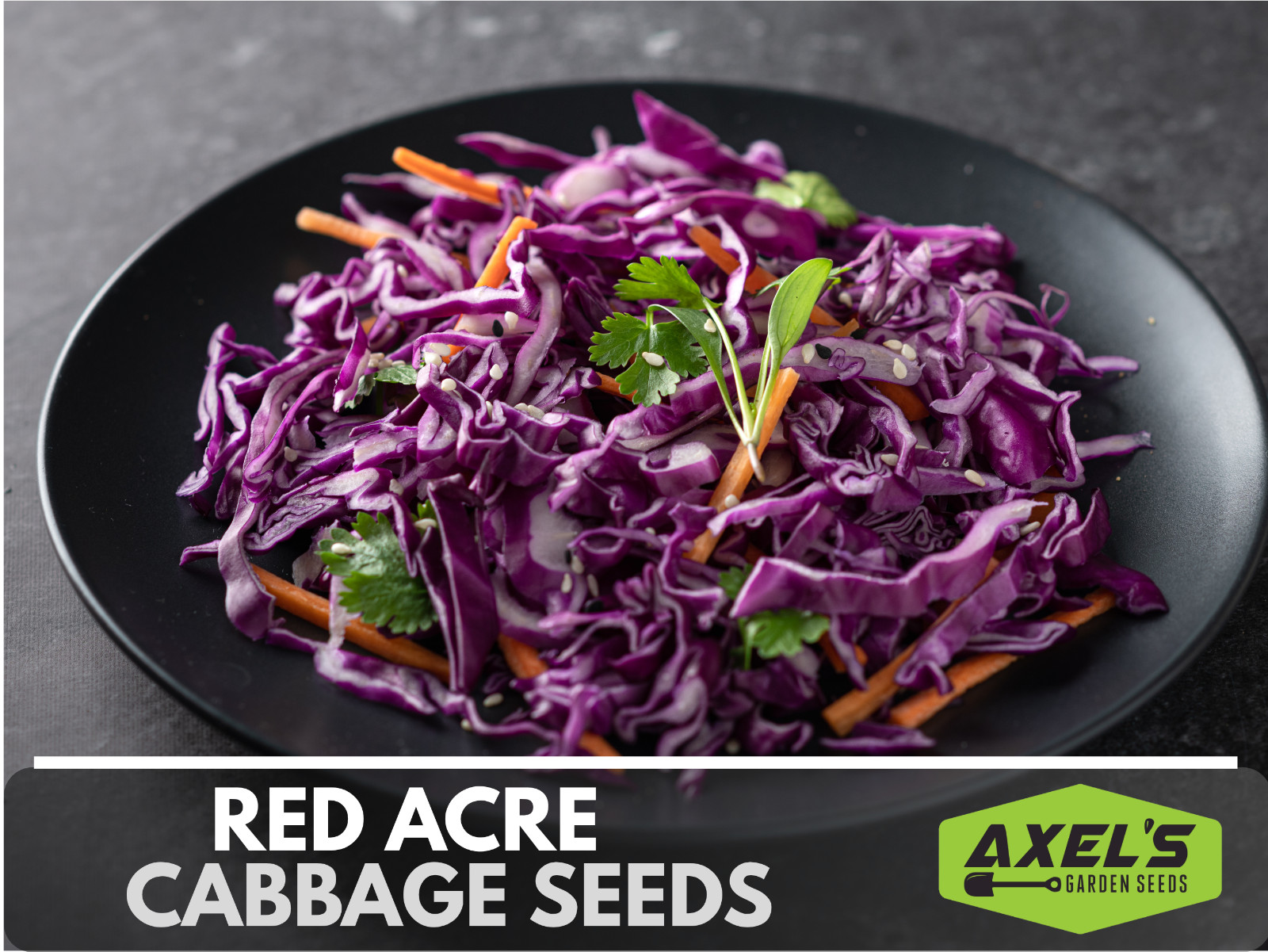 Red Acre Cabbage Seeds | Non-GMO | Heirloom | Fresh Garden Seeds
