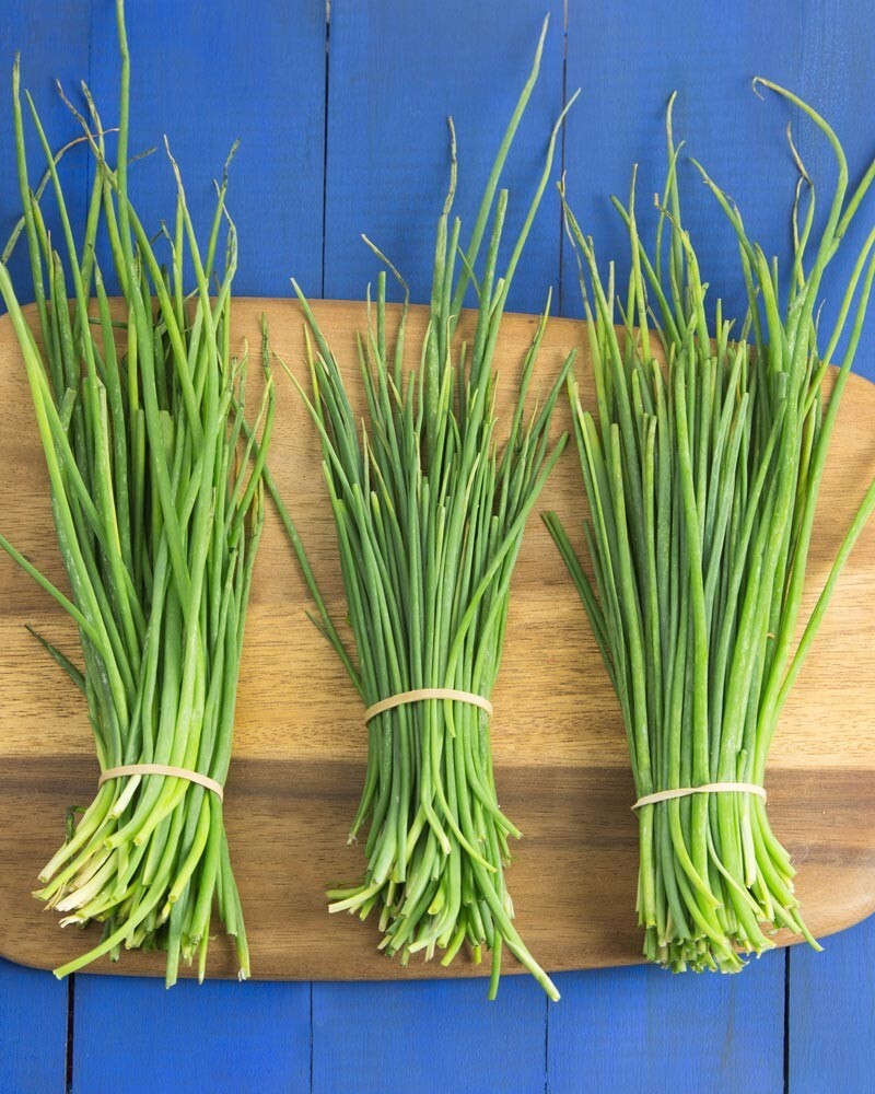 100 mg of CHIVE SEEDS Non GMO FREE SHIPPING