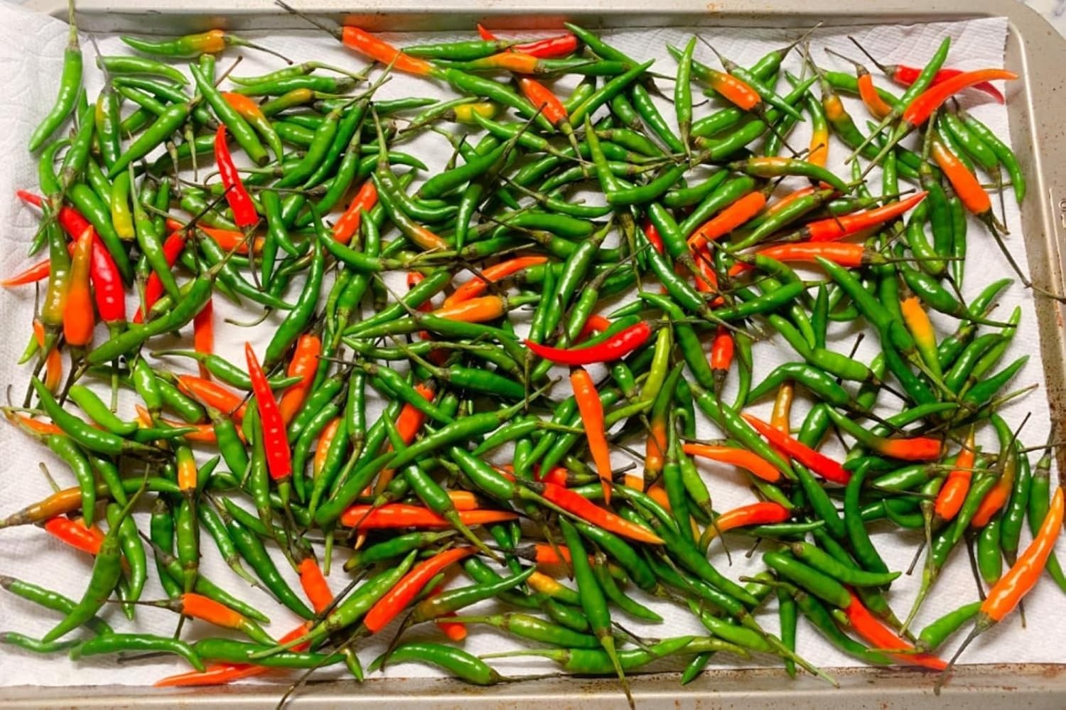 Thai Fresh Chili Peppers Good for Spicing Up Your Dishes
