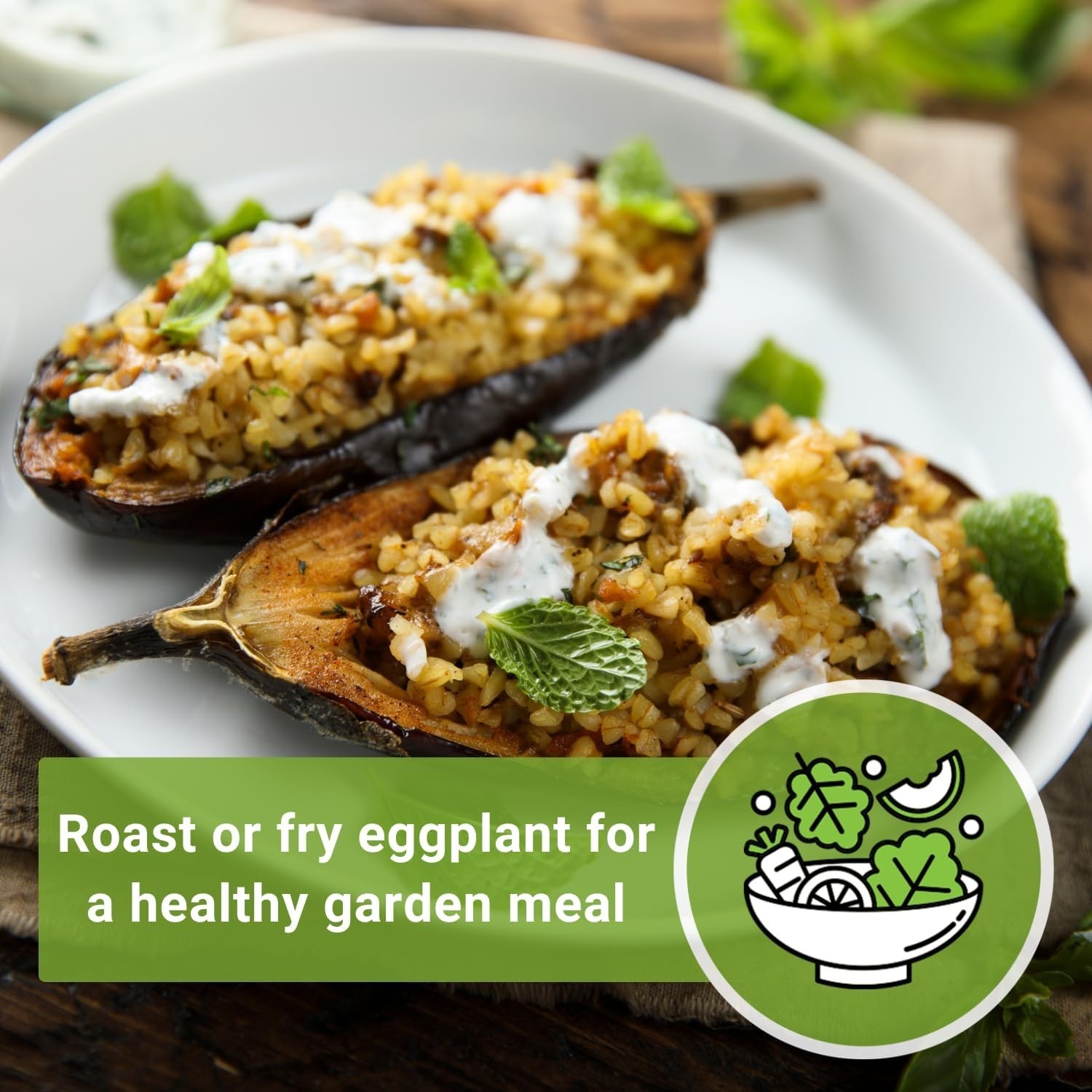 Easy-to-Grow Black Beauty Eggplant Seeds – High Germination Rate, Purple Fruits