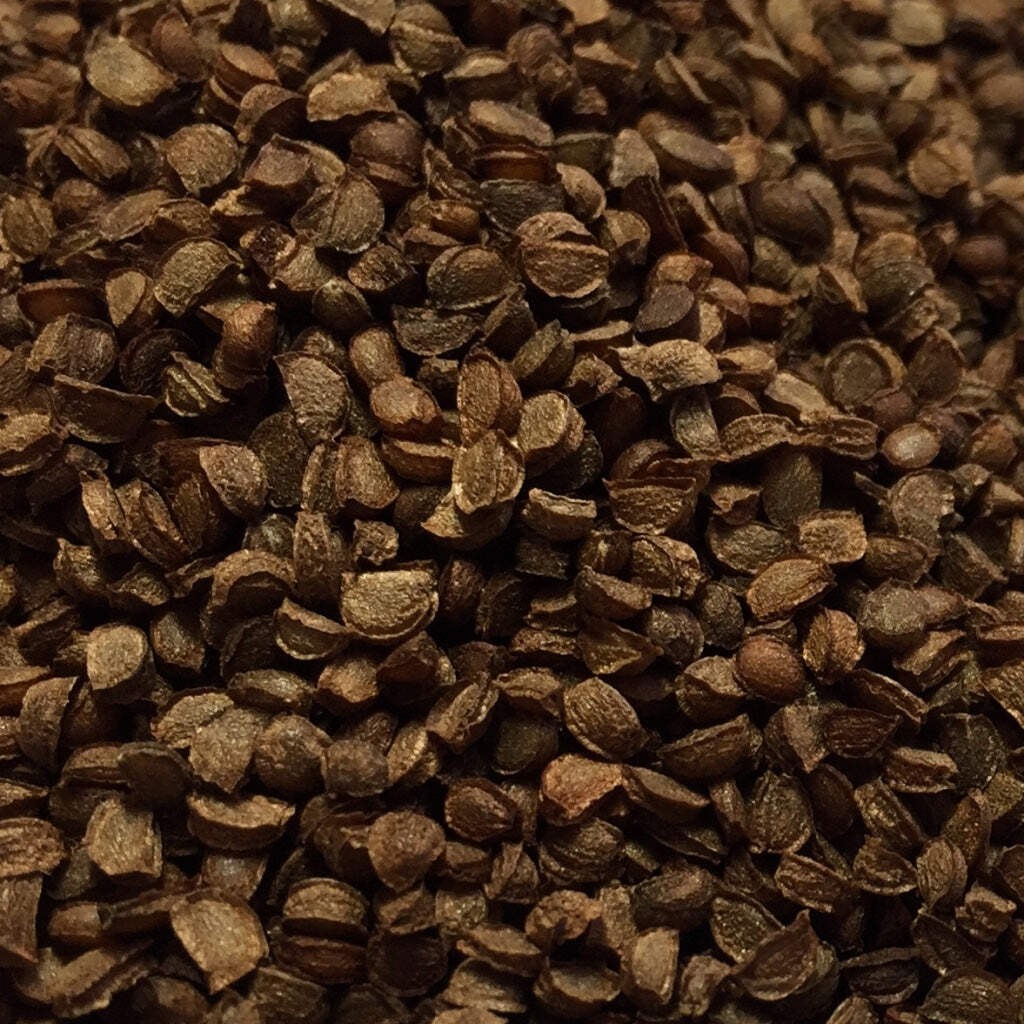 Black Cohosh Seeds (Cimicifuga racemosa) ~Traditional Herb Native Pollinator
