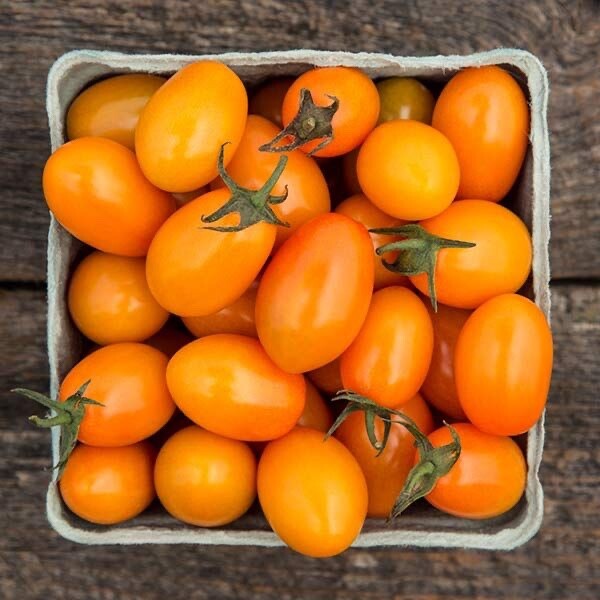 15 Organic Orange Grape Tomato Seeds, FREE SHIPPING