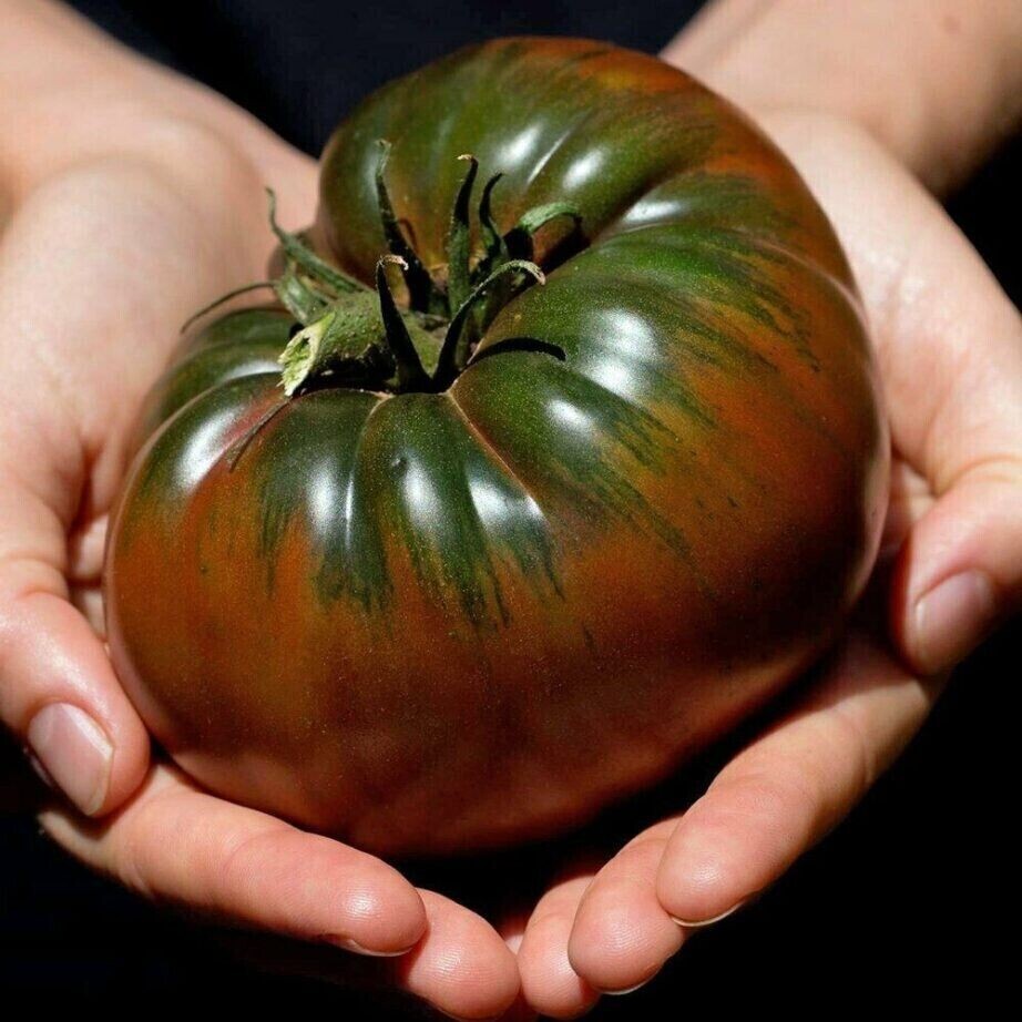 60+ Russian Black Krim Tomato Seeds – NON GMO – ORGANIC – HEIRLOOM — FRESH