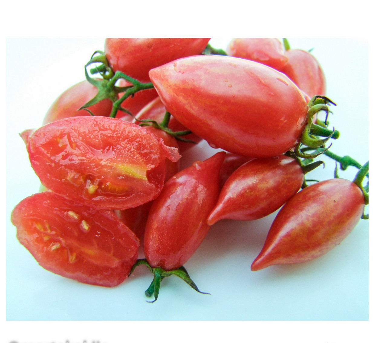 10 seeds Candy Sweet Icicle Tomato Large Cherry Rare Variety Indeterminate