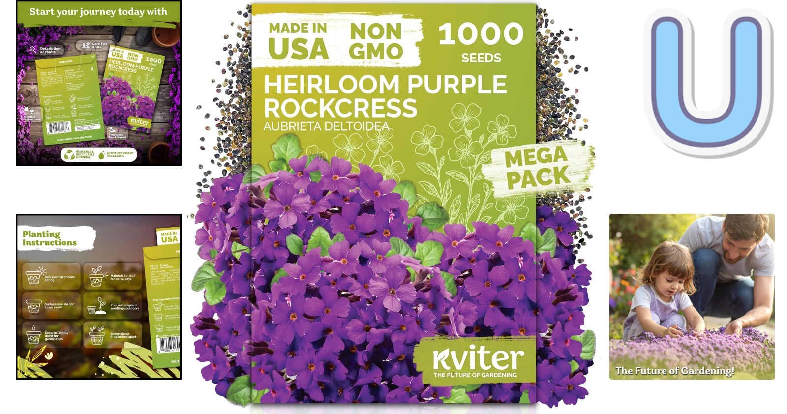High Germination Aubrieta Seeds – 1,000 Count Purple Rock Cress for Outdoors