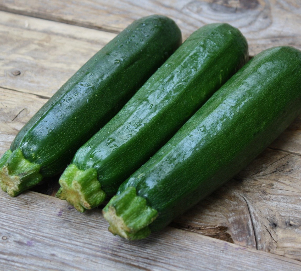 20 Quality Premium Newly Harvested Dark Green Zucchini Summer Squash Seeds-A 24