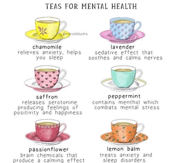 Herbal Tea Garden 🪴 Organic Peppermint Chamomile Lavender Lemon Balm Seeds