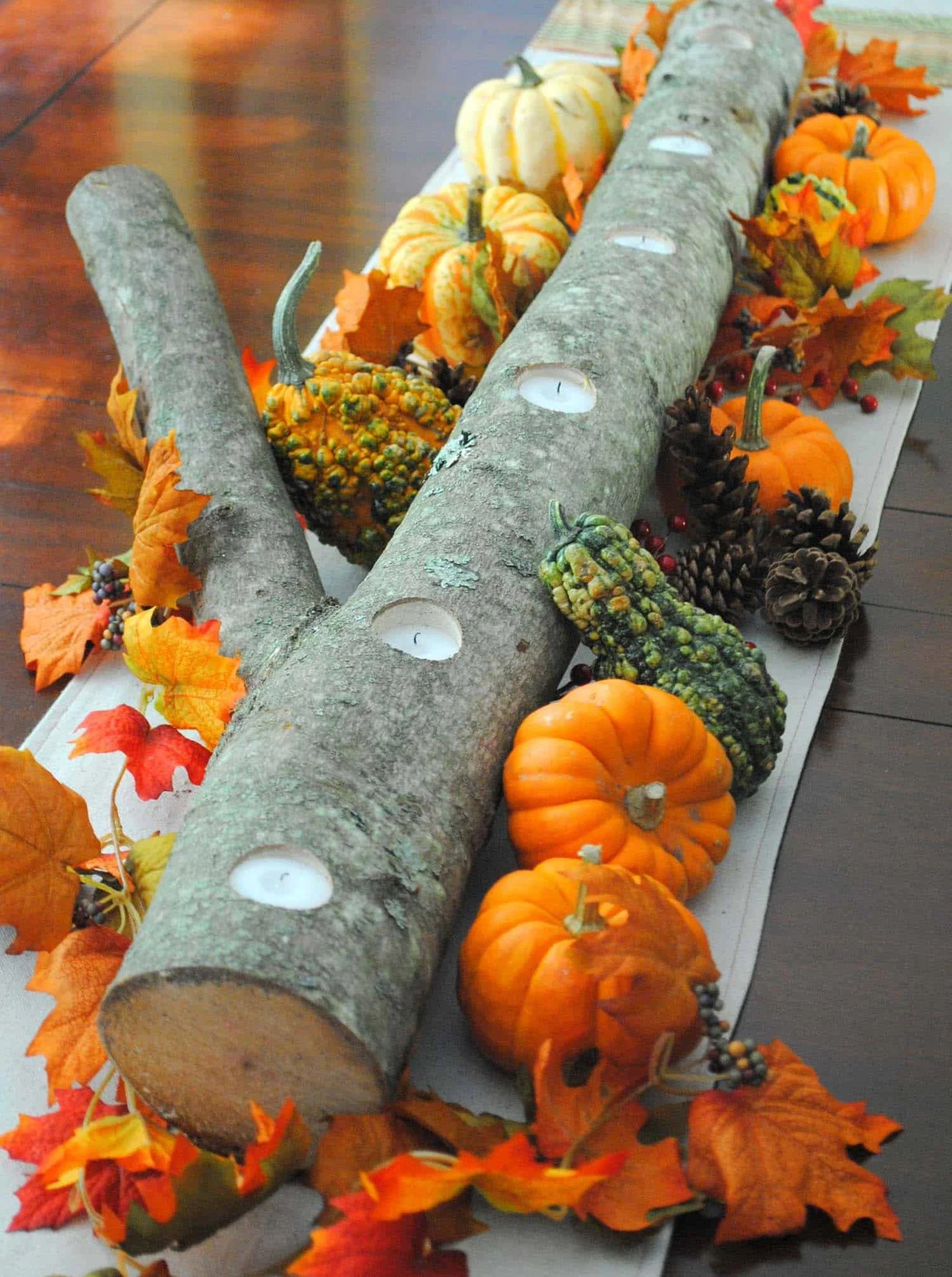 Small Ornamental Gourd Mix Seeds | Fall Garden Autumn Wing Pumpkin Squash 2023