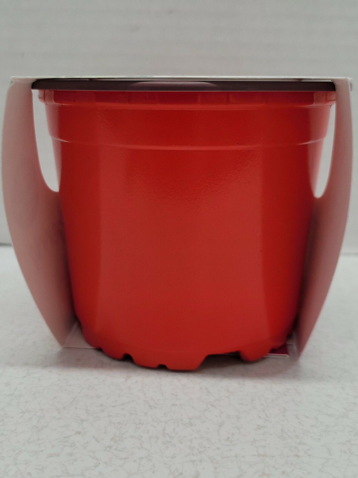 Buzzy Brand Stawberry Grow Kit Pot Seeds Growing Medium Instructions New