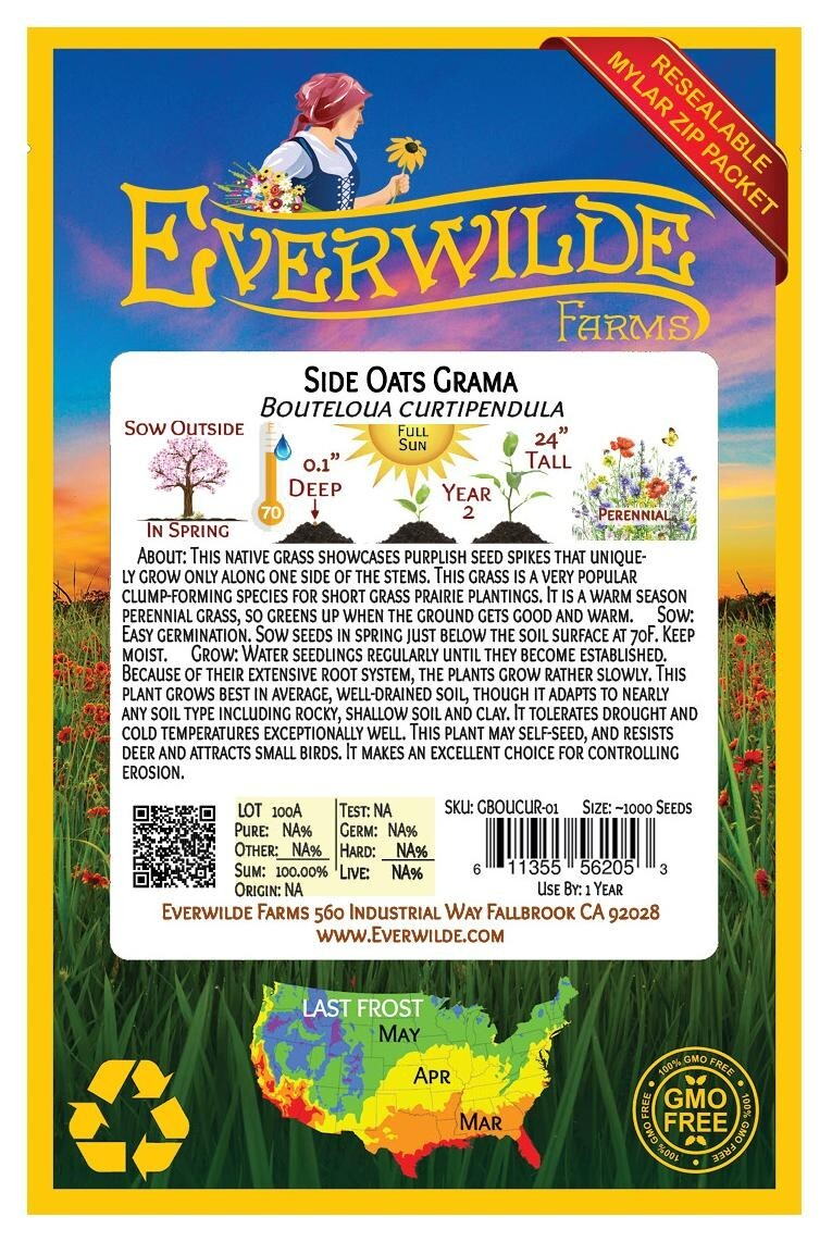 1000 Side Oats Grama Native Grass Seeds – Everwilde Farms Mylar Seed Packet