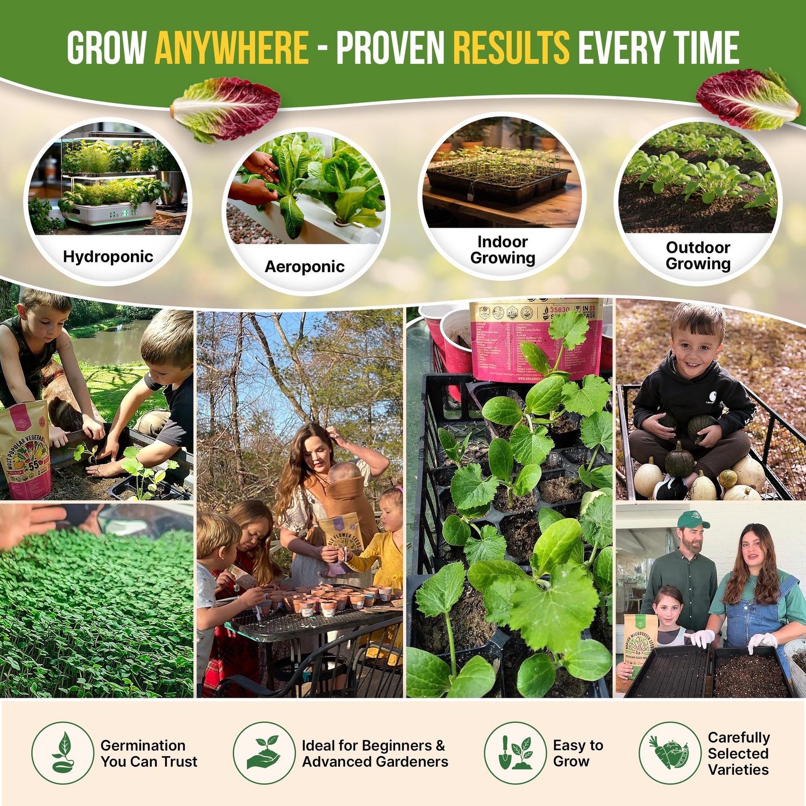 Organo Republic 22 Lettuce & Salad Greens Seeds Variety Pack 24,700+ NonGMO H…