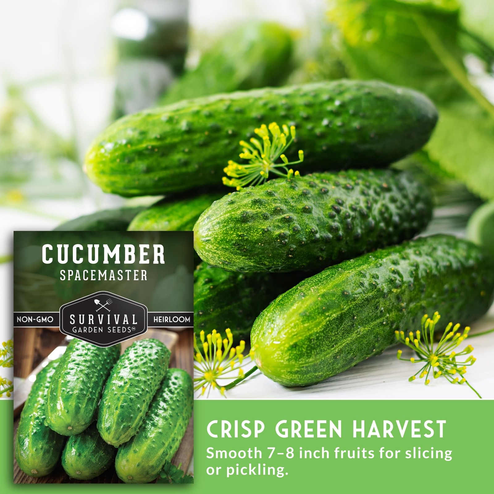 Cucumber Seeds Compact Heirloom Non-GMO Dwarf Bush 2-3ft – Perfect for Small