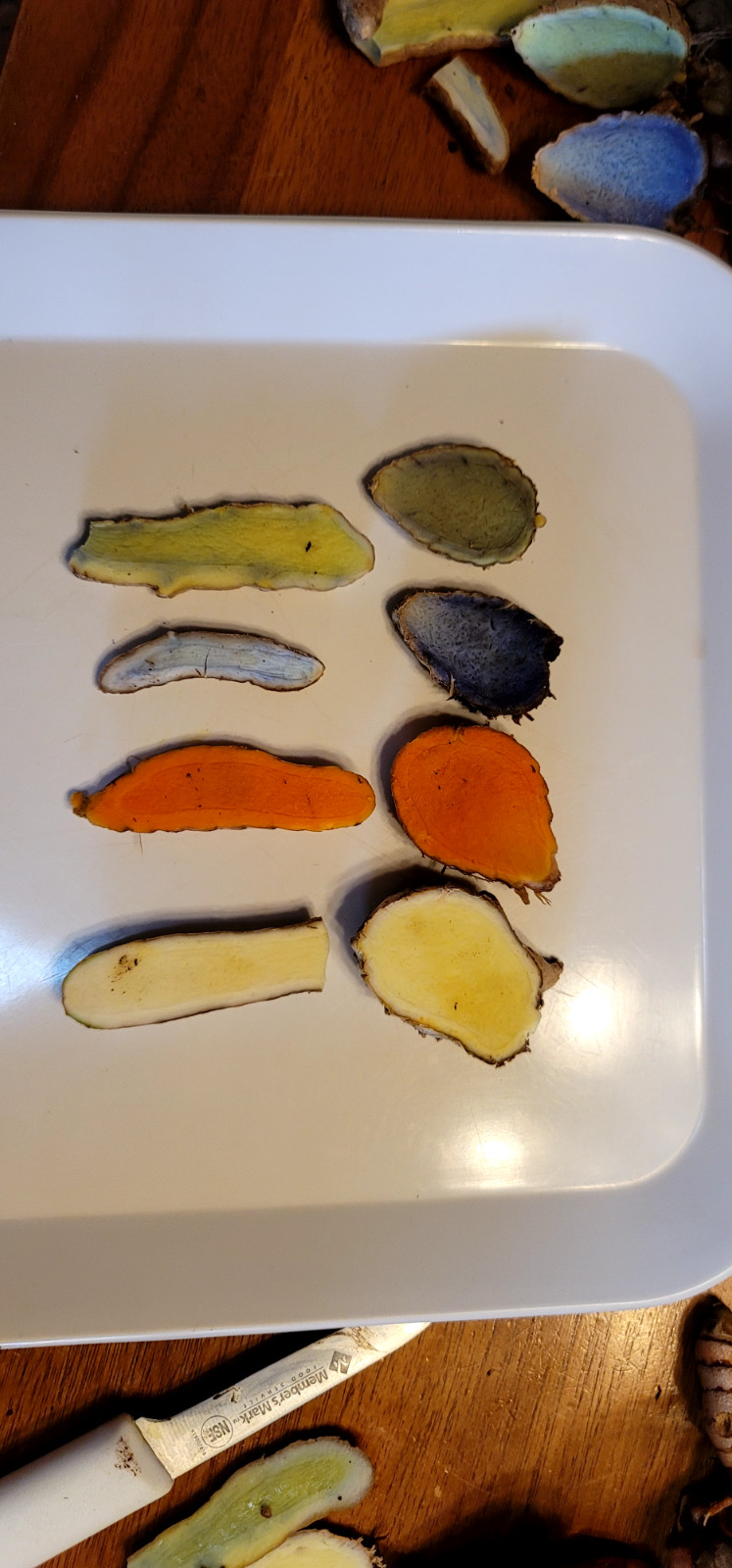 2026 Mango Turmeric Rhizomes For Planting – FREE Shipping