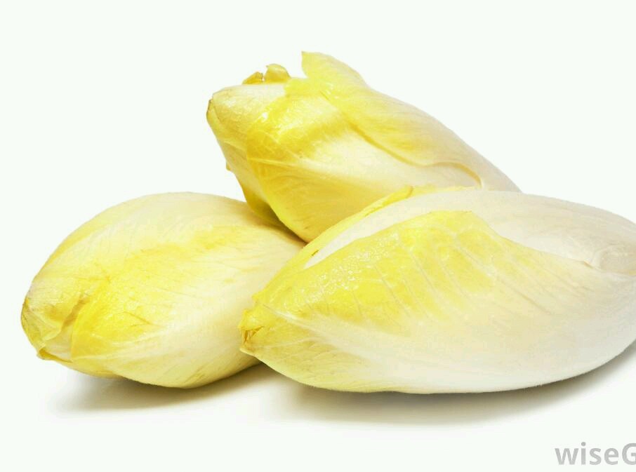 Wild Chicory Wildflower ~ 100 Organic seeds – Free shipping – US seller.