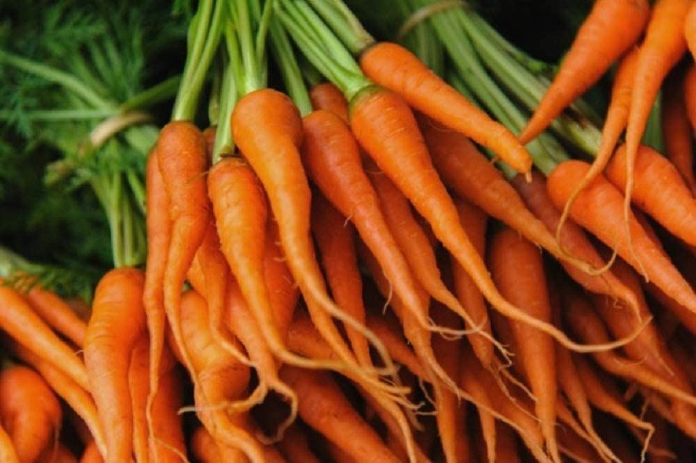 Carrot Seeds- Little Finger, “COOL BEANS N SPROUTS” Brand. Home Gardening.