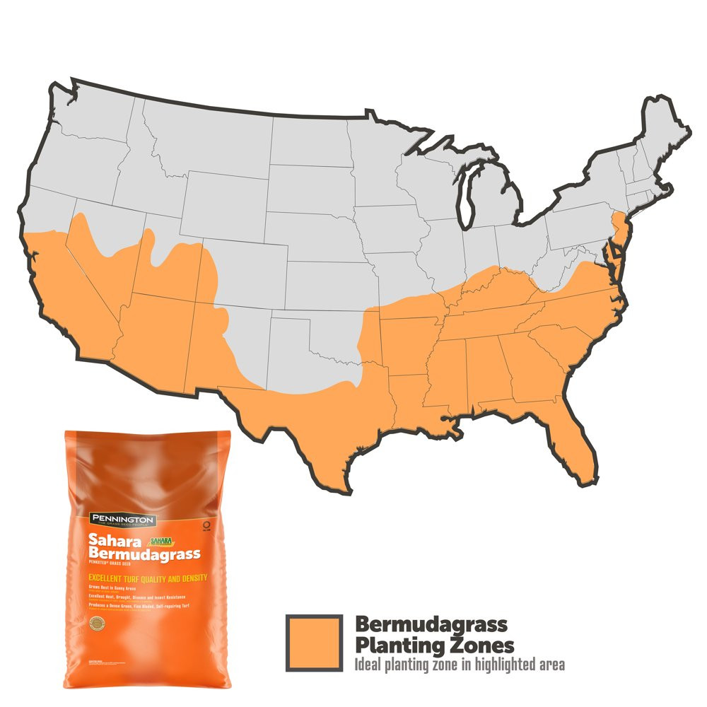 PENNINGTON BERMUDA GRASS SEED for Full Sun