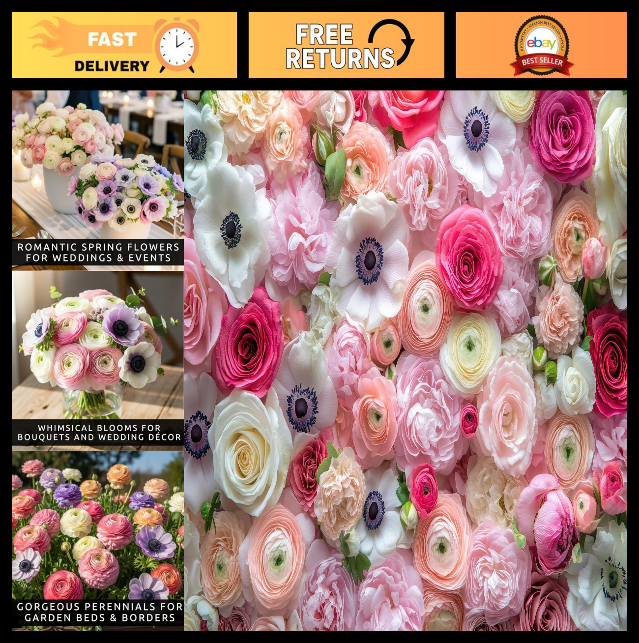 50 Premium Pastel Ranunculus & Anemone Bulbs Mix – Easy Grow Perennials for Gard