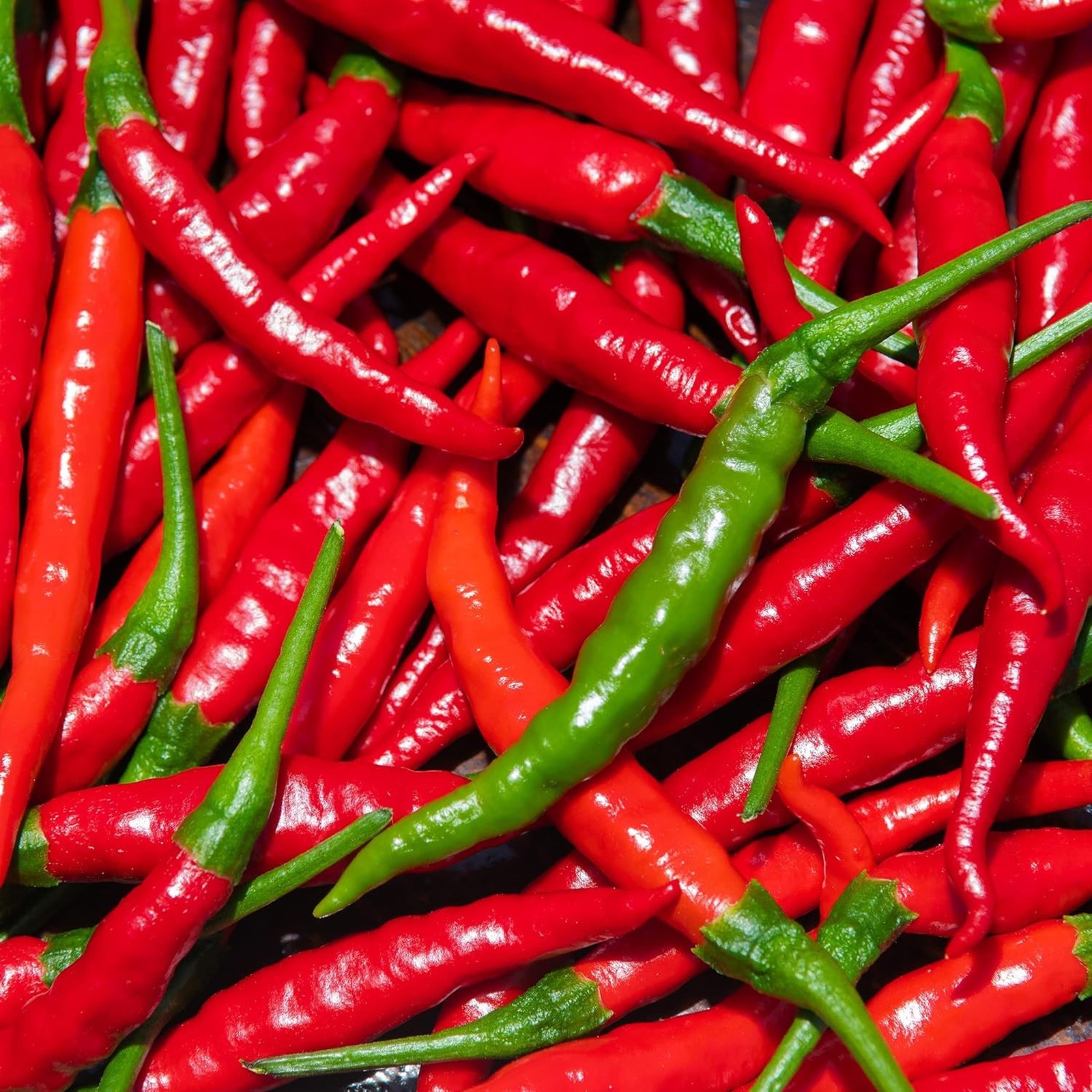 Organic Cayenne Pepper Seeds Long Slim Model, Heirloom, Open Pollinated