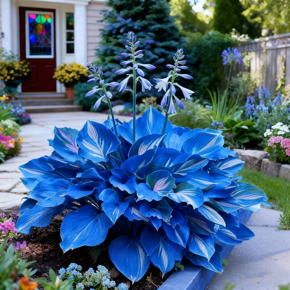 150+ Hosta Seeds Heart-Shaped Hosta Bare Roots – Rich Foliage, Low Maintenance