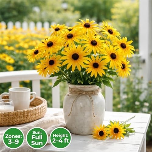 400,000+ Non-GMO Black Eyed Susan Seeds – Rudbeckia Hirta Wildflower for Garden,