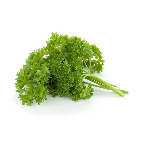 ESSENTIAL KITCHEN SURVIVAL! 5 CULINARY herb varieties great taste NON-GMO SEEDS