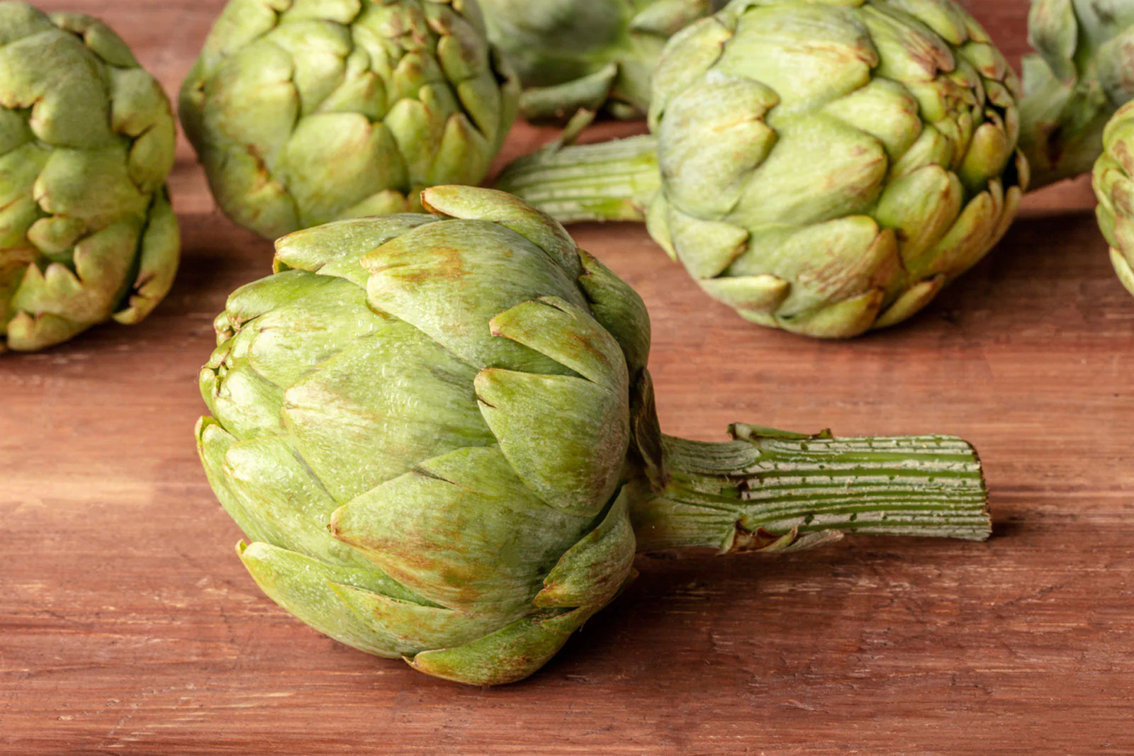 Green Globe Artichoke Seeds | Cynara Scolymus Green Artichokes Perennial Seed
