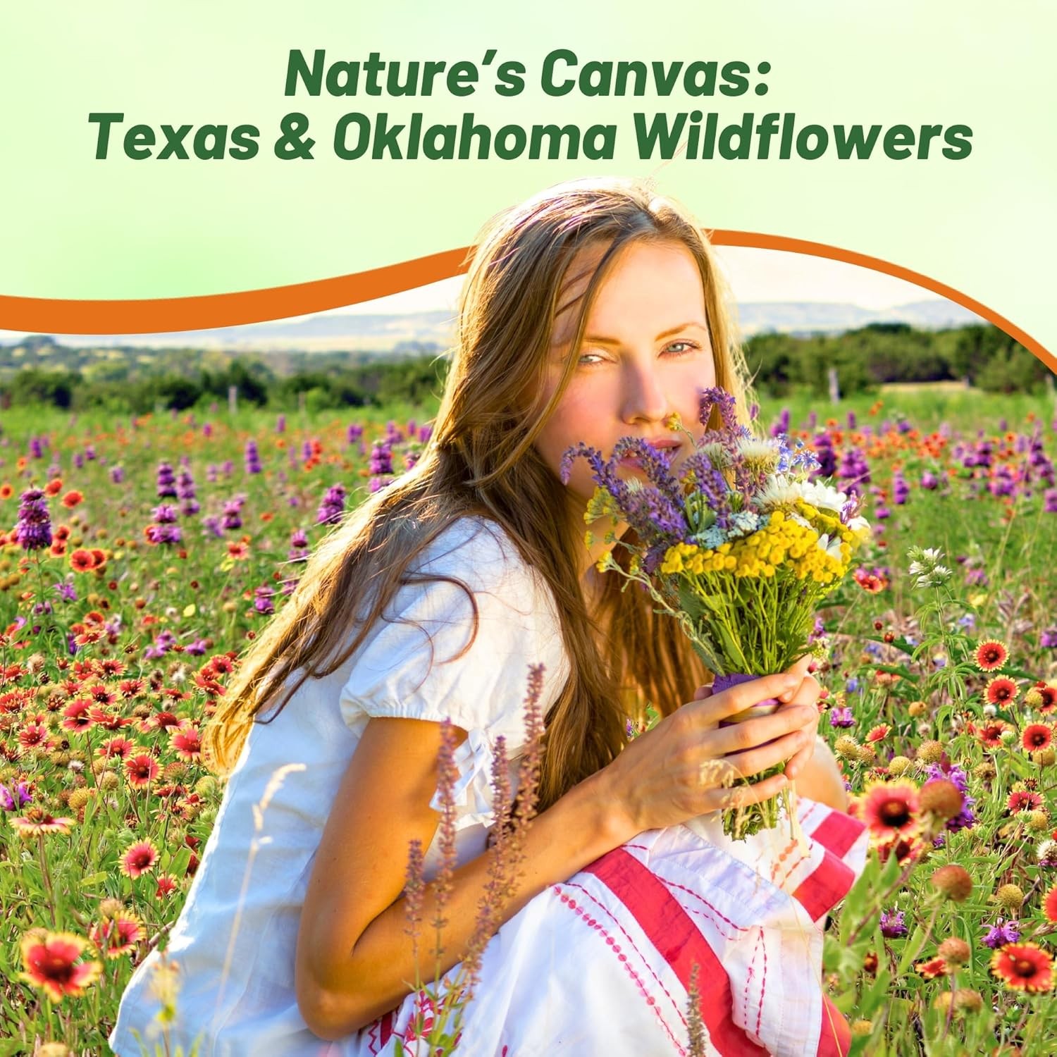 5 LBS Texas and Oklahoma Wildflower Seed Mixes For Planting Outdoors