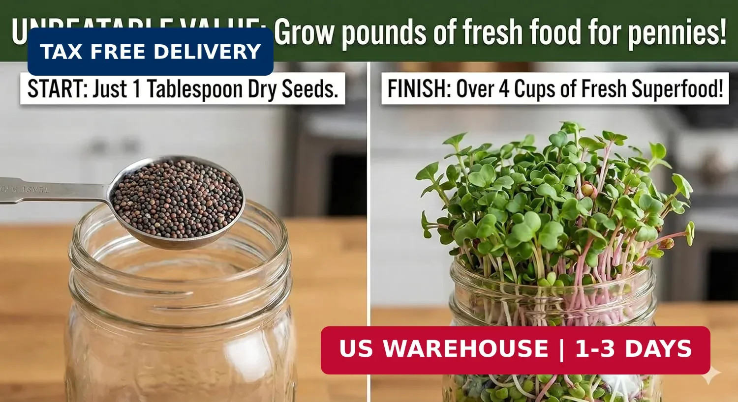 Todd’s Seeds Broccoli and Friends Sprouting Seed Mix (1/4 Pound) | Broccoli, Cri