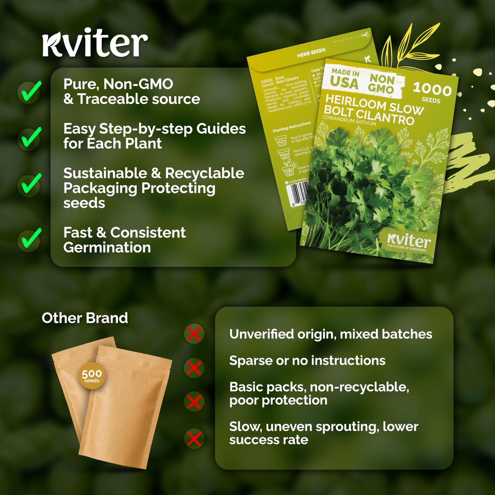 KVITER 1000 Slow Bolt Cilantro Seeds (Coriandrum sativum)