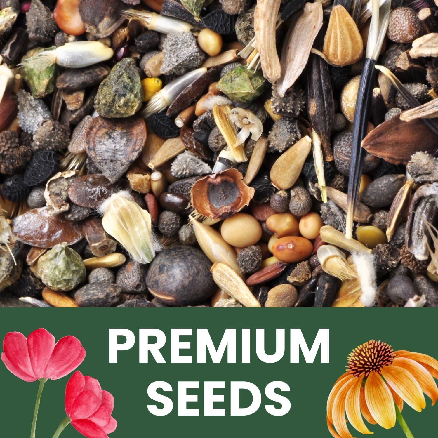 California Poppy Orange – Large 1 Ounce Packet – 1 oz (20,000 Seeds)