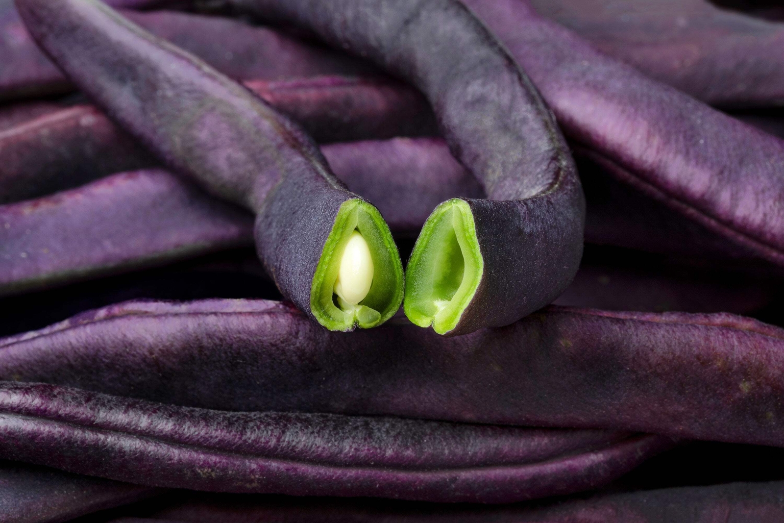 40 Royal PURPLE POD BEAN Phaseolus Vulgaris Vegetable Seeds