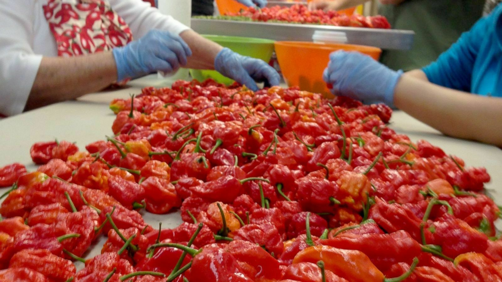 100 Carolina Reaper Chili Pepper Seeds World Record Hot Peppers Vegetables Seed