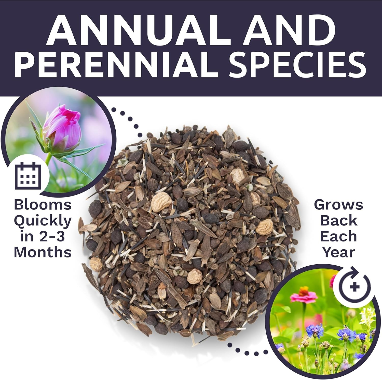 Wildflower Seeds Bulk – Butterfly Hummingbird Mix, 5 Pounds