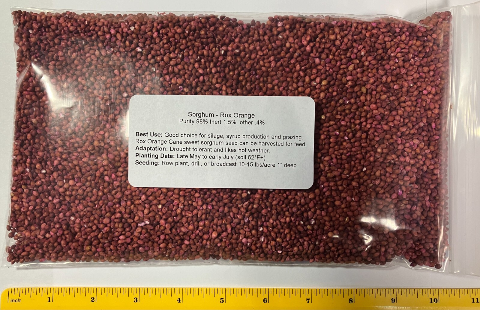 1 pound Sorghum Seeds Rox Orange Syrup Cane Non-GMO Heirloom