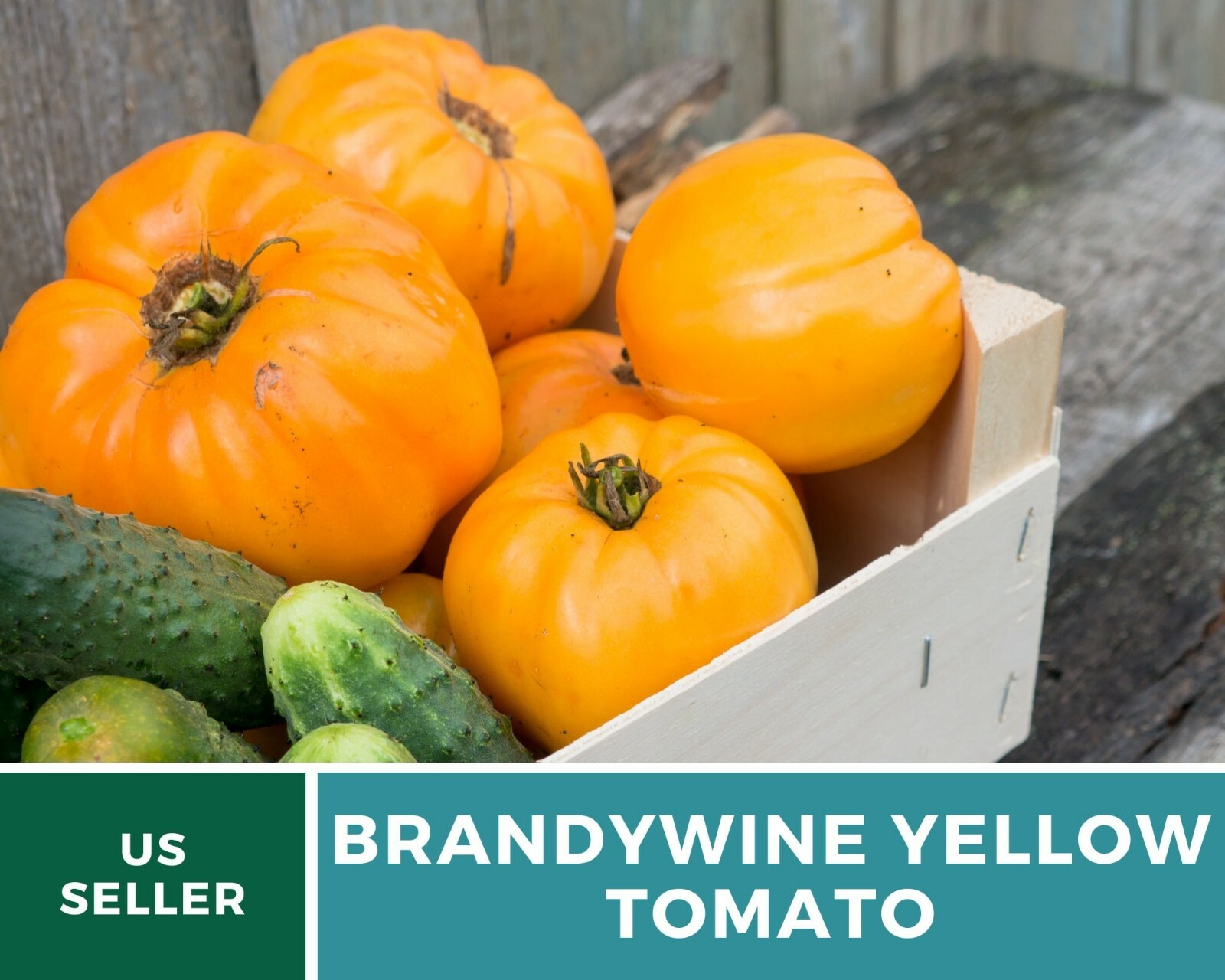 Tomato, Brandywine Yellow – Heirloom Seeds – NonGMO (Solanum lycopersicum)