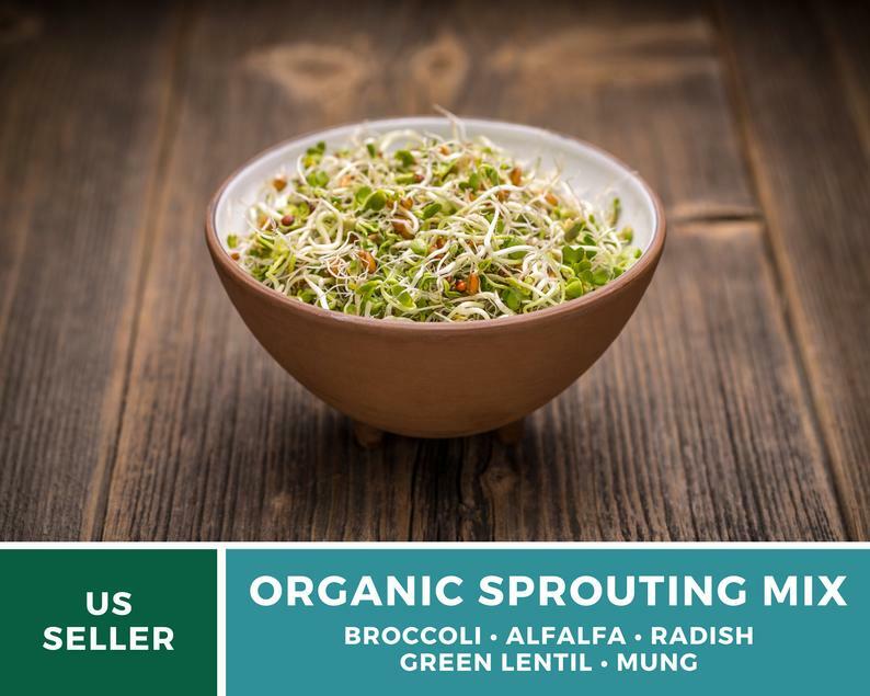 Sprout, 5 Part Mix – 1,000 Seeds – Grow All Year – Non GMO