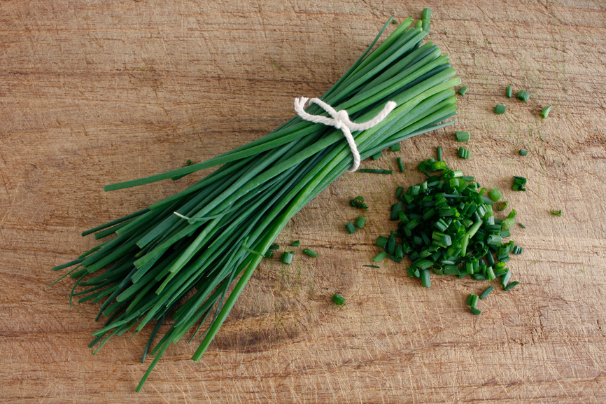 401+CHIVES Seeds Herb Green Onion Spring Fall Vegetable Garden Patio Container