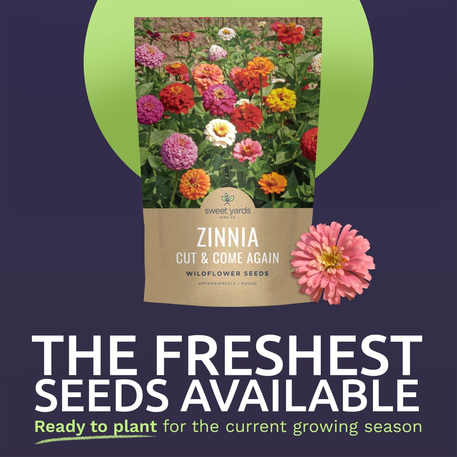 Zinnia Cut & Come Again Mix – Bulk 1 Pound Pouch – 60,000 1 Pound, Mixed