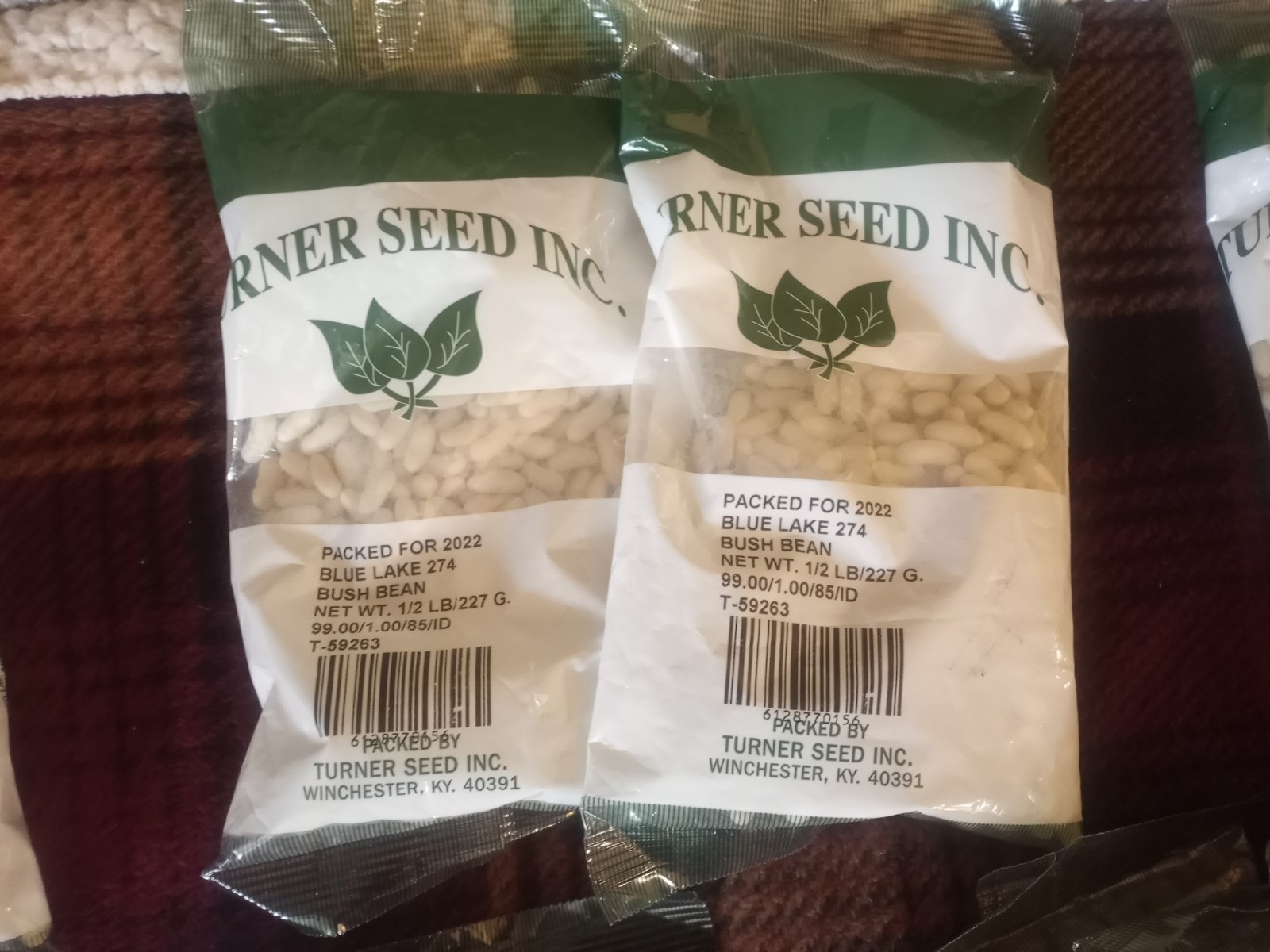 Blue Lake Bush Bean Kentucky Wonder Mtn. White 1/2 Pound Seeds Packed For 2022