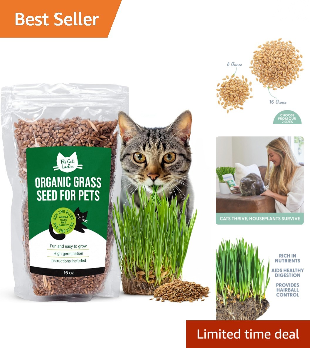 16oz Organic Cat Grass Seed – Fast Growing Non-GMO Pet Treat for Any Home