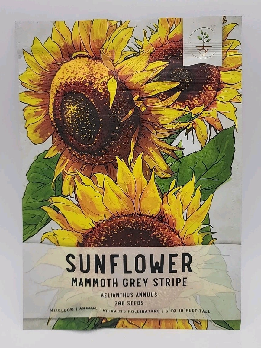 Sunflower Mammoth Grey Stripe 300 Seeds Per Pack 6 To 10 Feet Tall Please Read