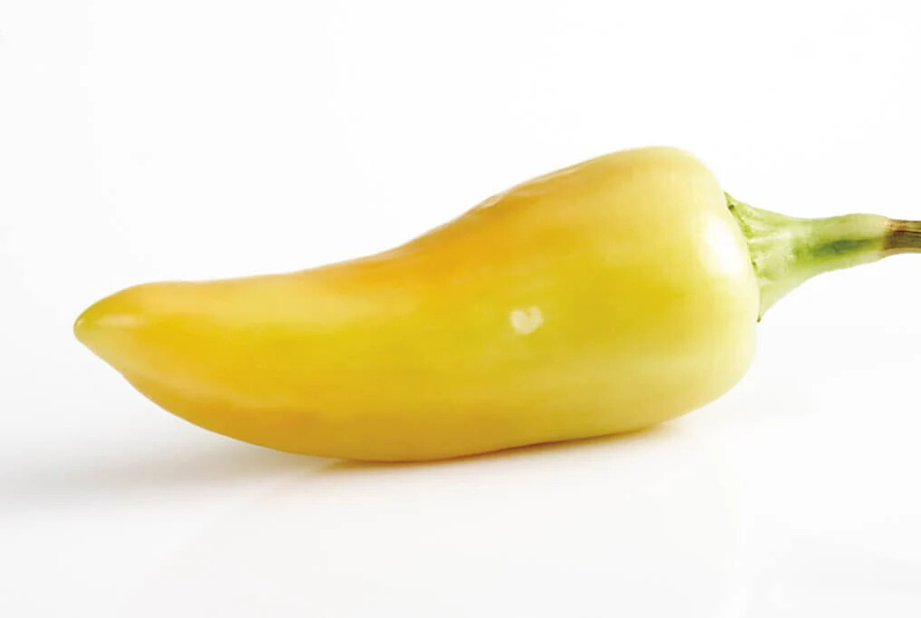 100ct Heirloom Cal Oro Pepper Seeds AKA Yellow Jalapeno – Medium Heat NonGMO