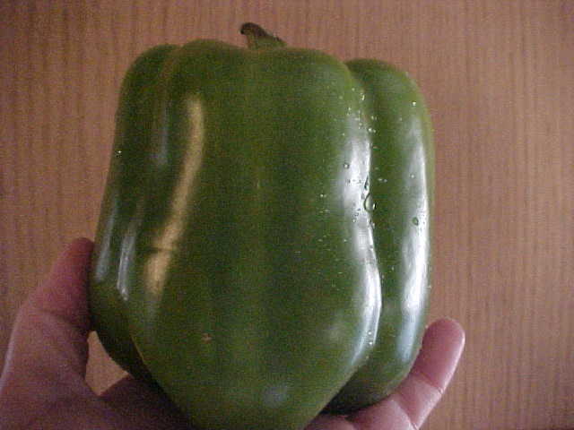 50 SEEDS ORGANIC SWEET VERY HUGE LARGE DARK GREEN BELL PEPPER SEEDS