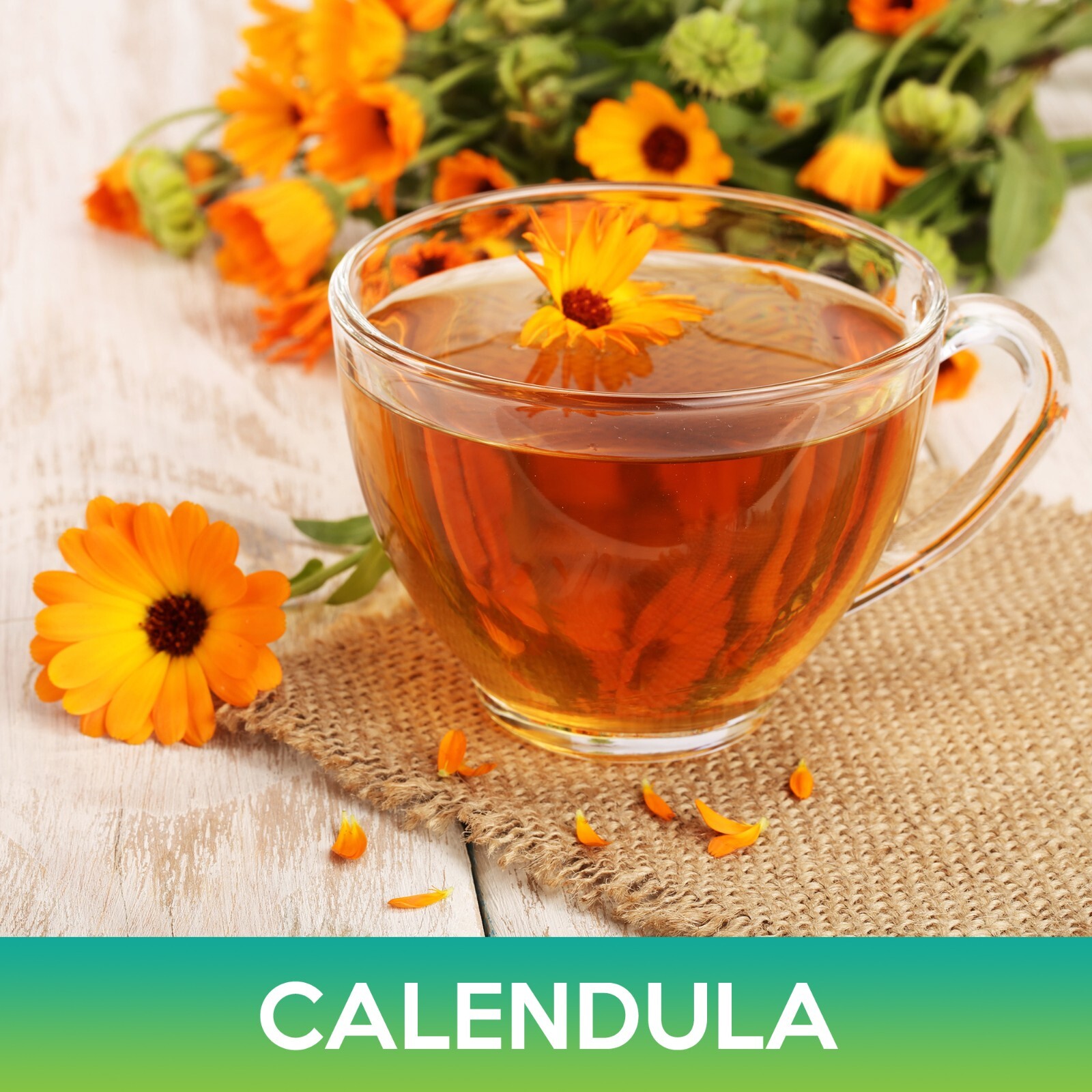 Calendula Flower Seeds, Calendula Officinalis
