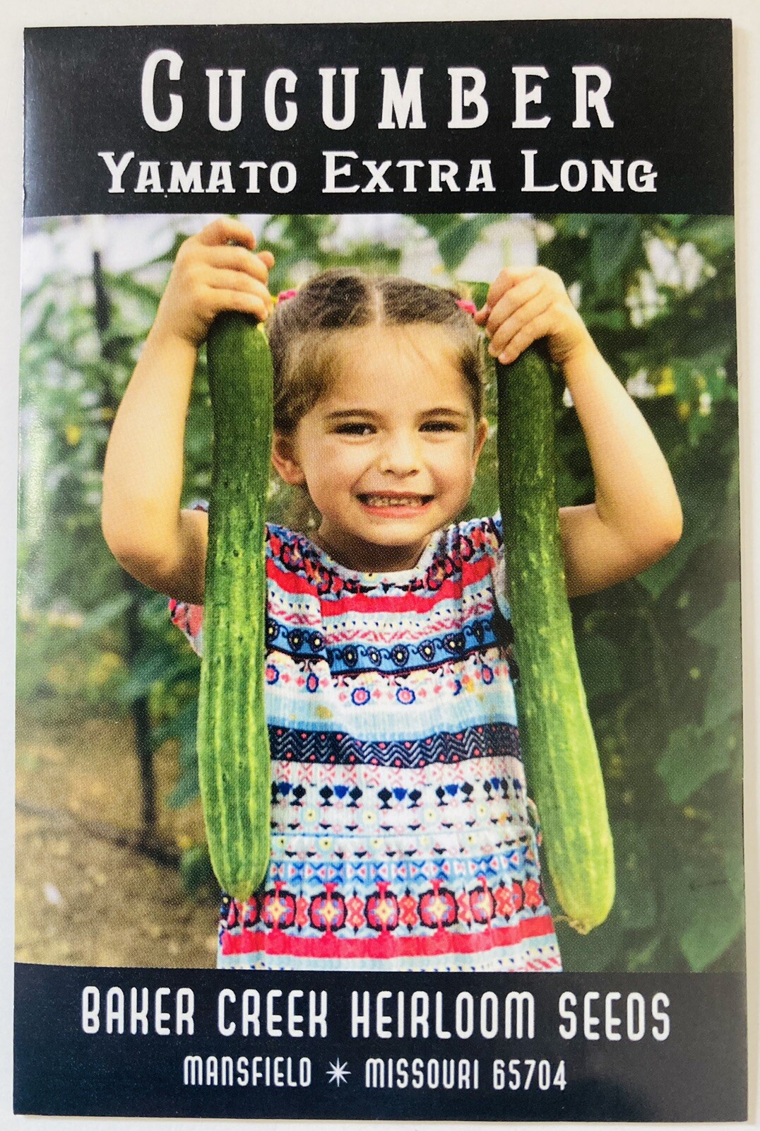 100+ Count Seeds ~ Heirloom NON-GMO Garden Tomatoes & Cucumbers ~ High Quality