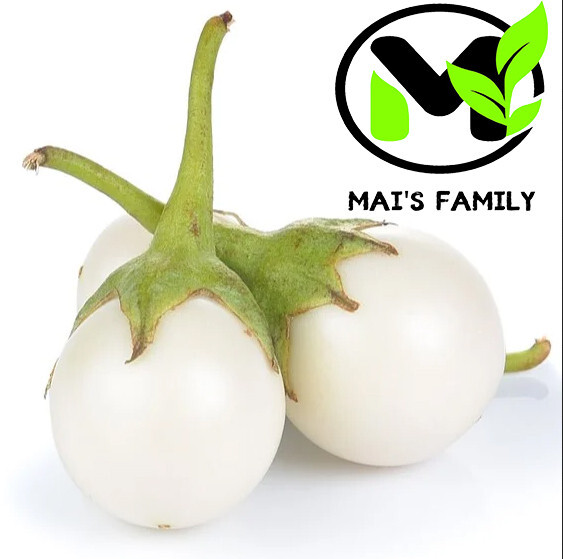 WHITE ROUND EGGPLANT SEEDS, CÀ PHÁO TRẮNG, 茄子,berenjena 90% GERMINATION